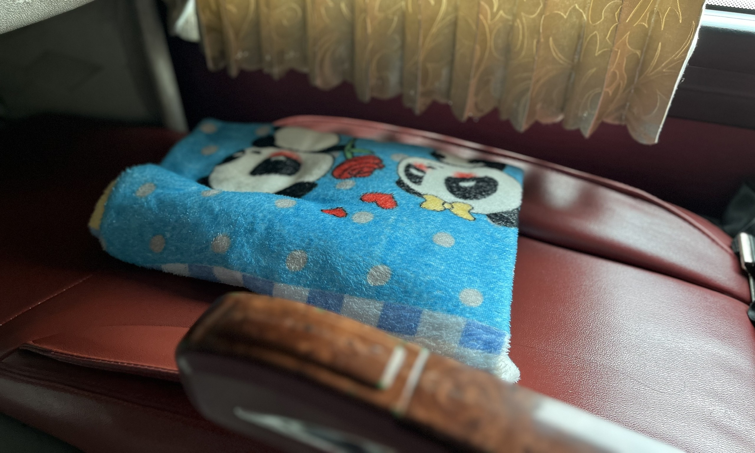 Why you should avoid using shared blankets on passenger buses