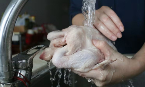 Common mistakes when preparing raw chicken spread bacteria throughout the kitchen