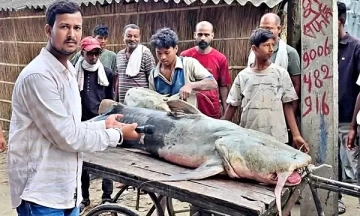 India warns against consuming unusual fish washed ashore from Nepal after floods