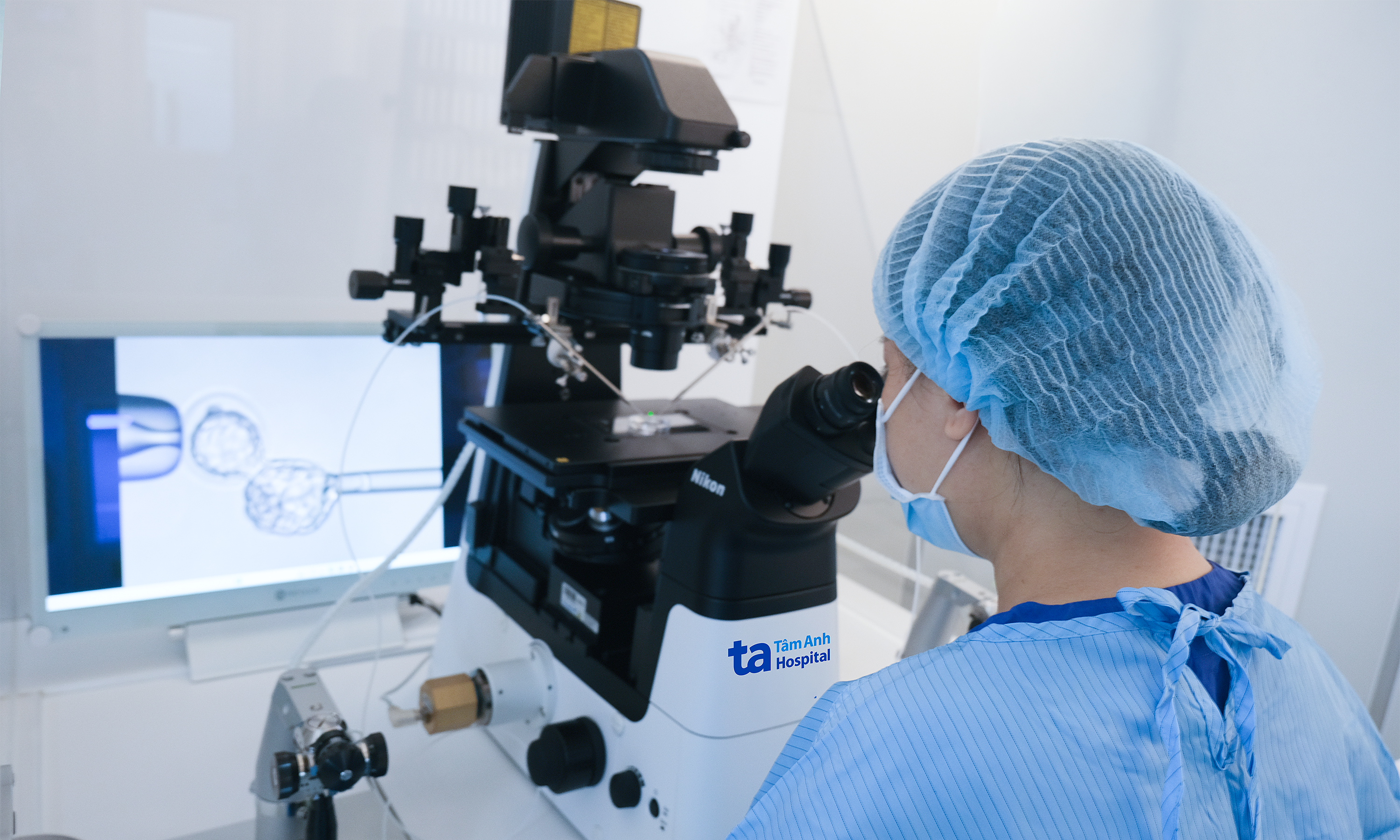 Can cryopreserved embryos undergo genetic screening?