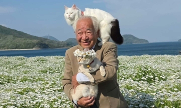 Elderly man takes pet cats across Japan to see flowers