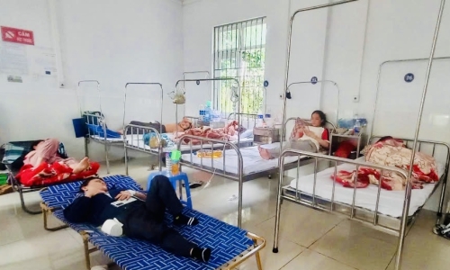Salmonella bacteria cause food poisoning in 254 Gia Lai residents after eating banh mi