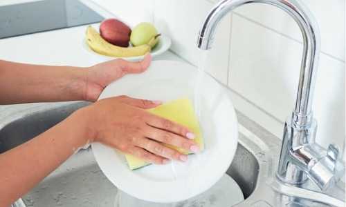 Dangerous bacteria lurk on dish sponges