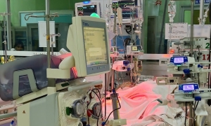 Nearly one billion dong spent fighting for life after dengue fever