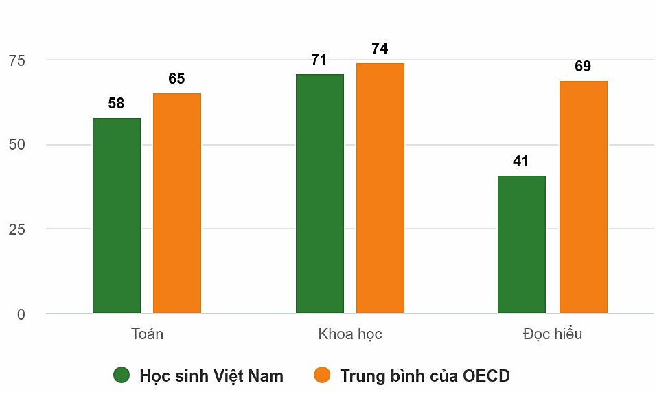 Nearly 60% of Vietnamese students below basic reading comprehension