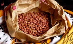 6 plant-based protein sources for muscle gain