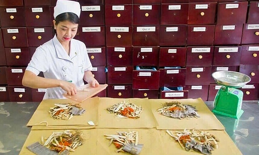 Ministry of health proposes health insurance coverage for 129 additional traditional medicine drugs