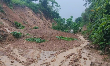 man loses contact while working in forest