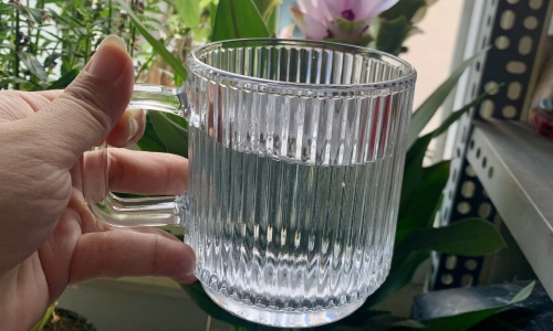 4 simple morning habits for weight loss