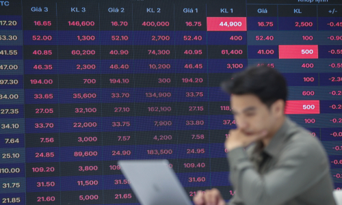 Gelex states 'operations normal' as shares plummet