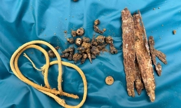 Eight remains found near Dang Thuy Tram medical station