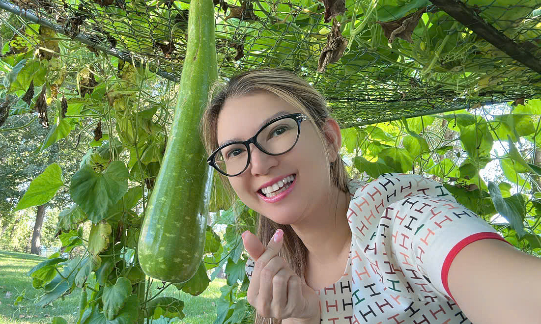 Pham Thanh Thao's fruit and vegetable garden on her 6,000 m2 property