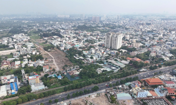 Relocating nearly 200 trees for the Ring Road 2 three-level interchange