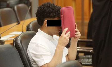 German driver sentenced to three years in prison for accident killing two Vietnamese brothers