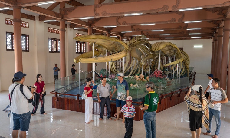 Home to Vietnam's two largest whale skeletons