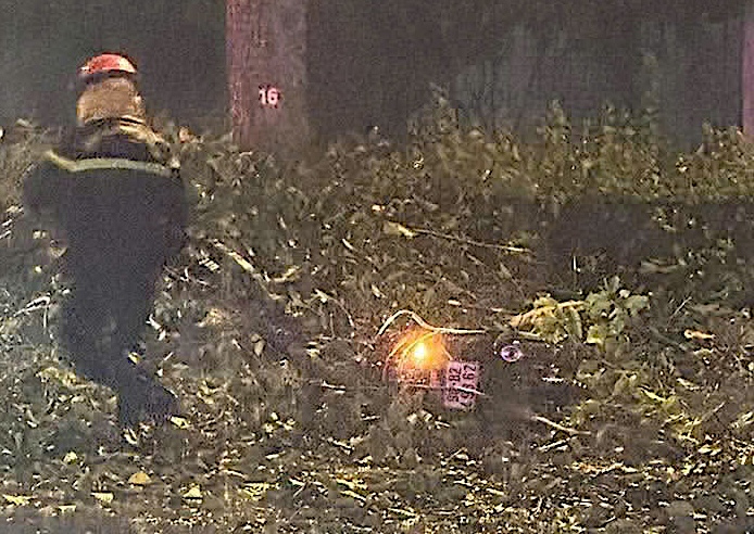 Man dies in Ho Chi Minh City after being struck by falling tree branch