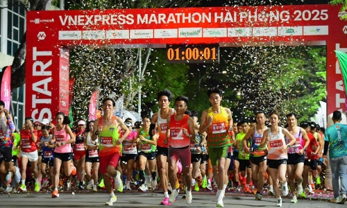Three factors create "the race of records" in Hai Phong