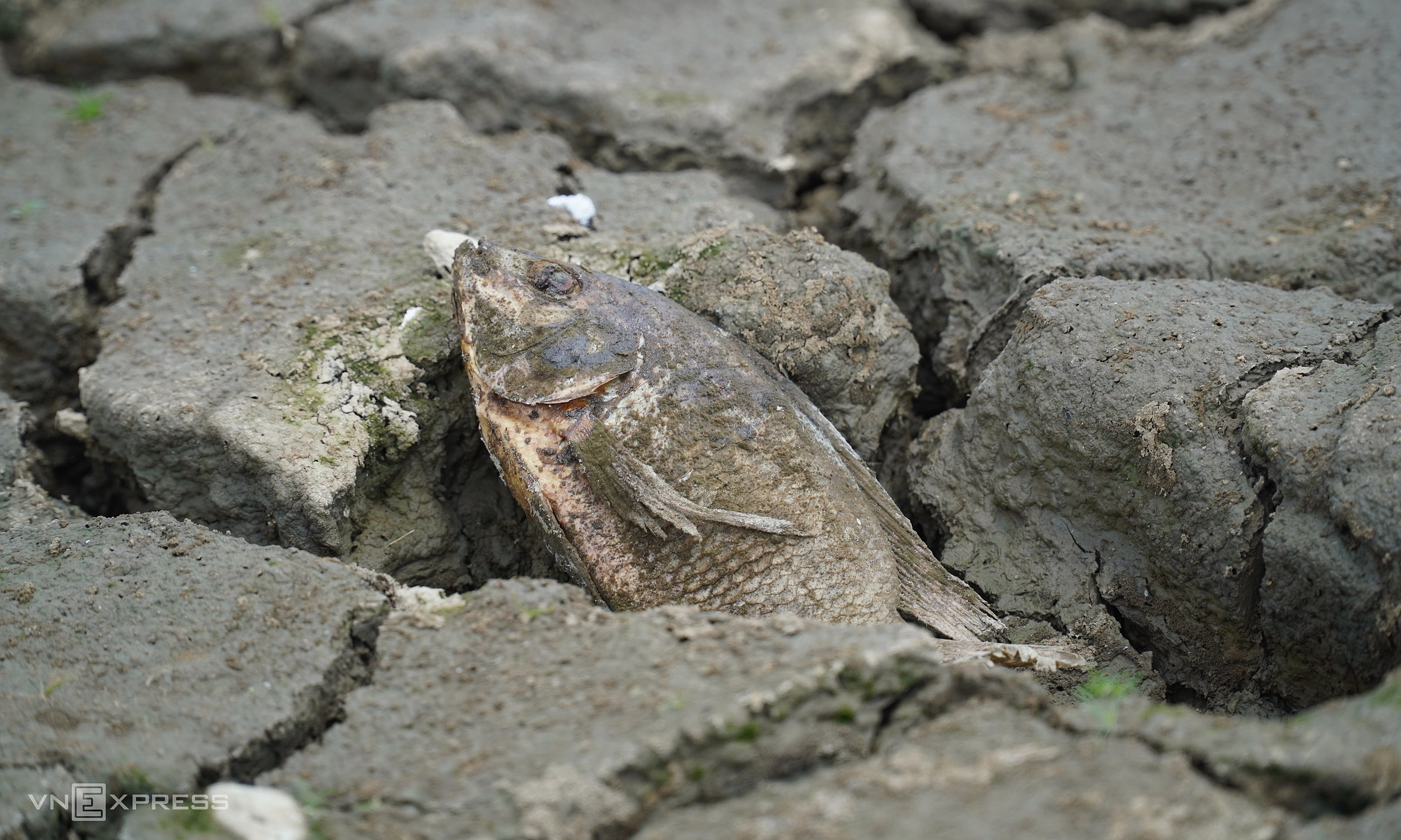 El Nino reaches very strong intensity