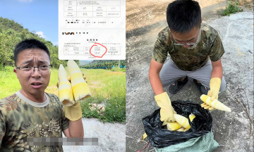 China uncovers fresh bamboo shoots with chemicals 100 times permissible limit