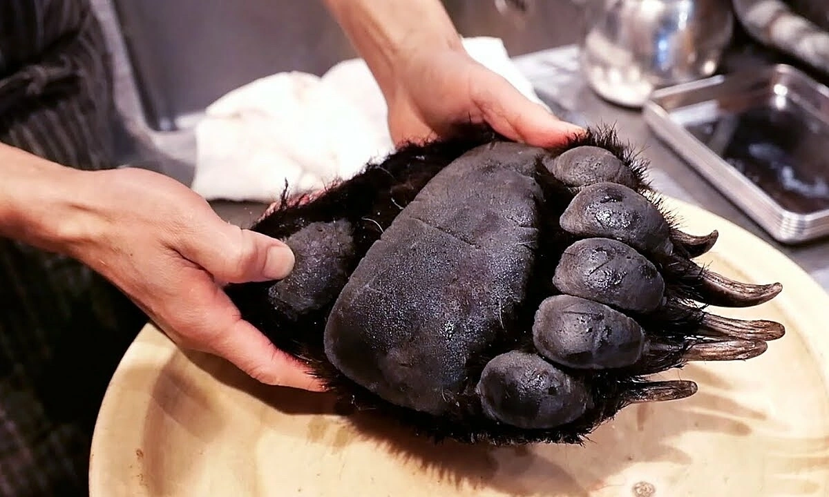 Bear meat: A Japanese delicacy