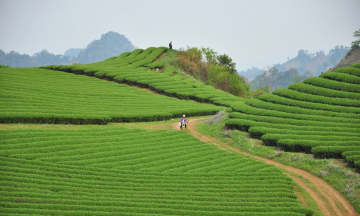 Ecopark-linked firms propose real estate project in Moc Chau