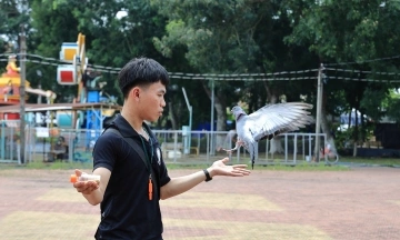 Hundreds of pigeons compete, showcase talent