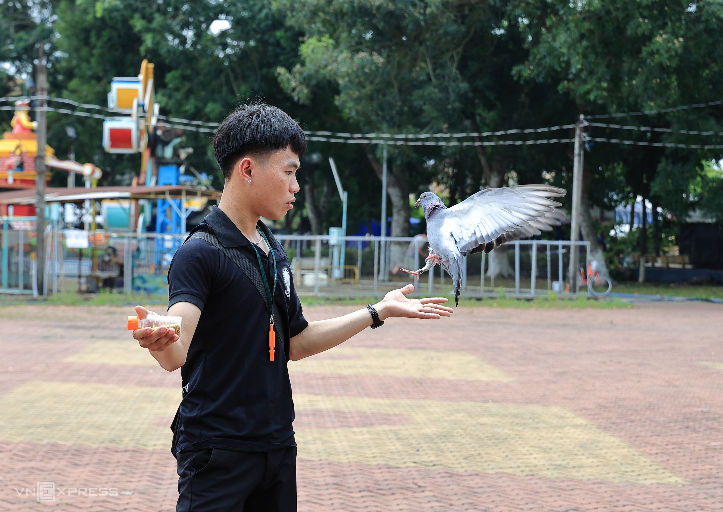 Hundreds of pigeons compete, showcase talent