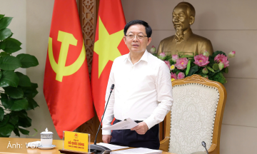 Deputy Prime Minister: study anti-land speculation tax