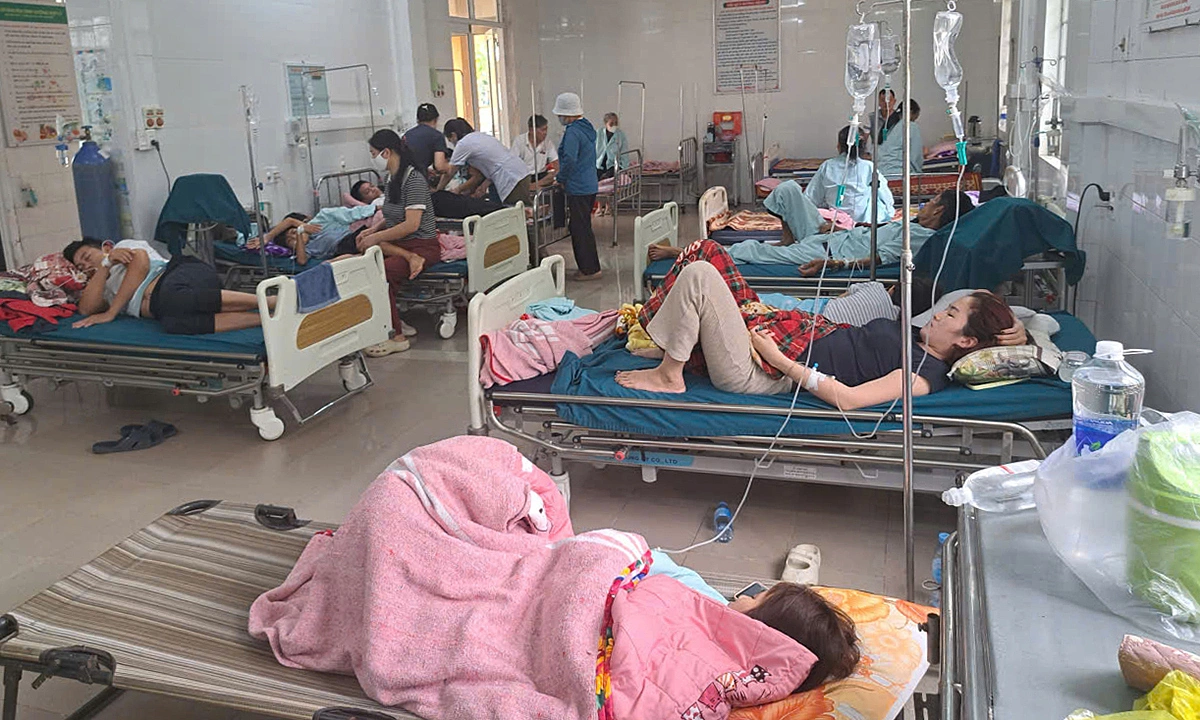 Salmonella bacteria in bread causes food poisoning for over 40 people in Quang Tri