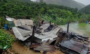 Mother and two children die in coffee farm house fire