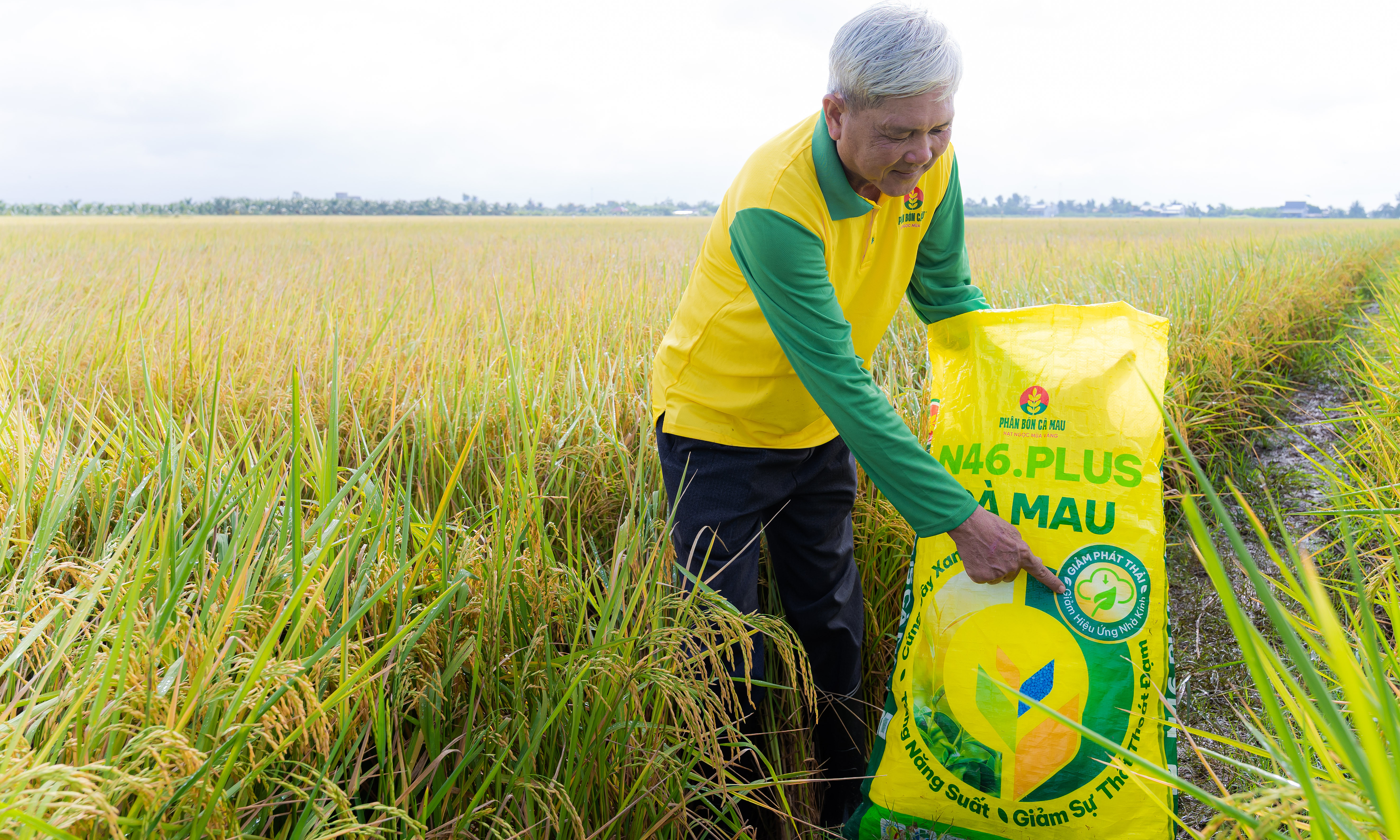 PVCFC partners on low-emission rice model in Dong Thap