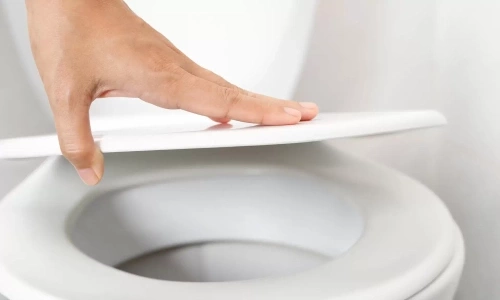 Debate: to close or leave open the toilet lid