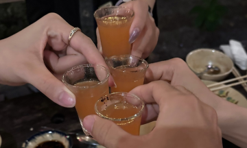 What happens to the body when you regularly drink alcohol?