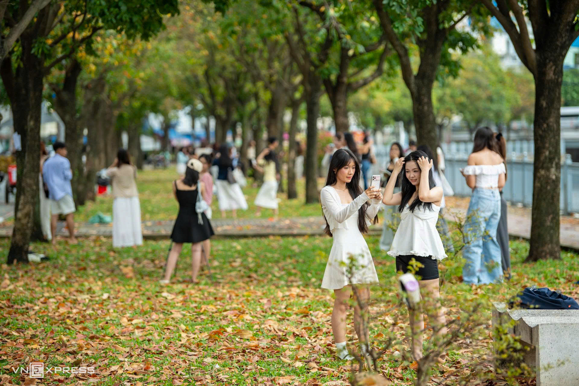 Ho Chi Minh City's 'autumn road' draws crowds for photoshoots