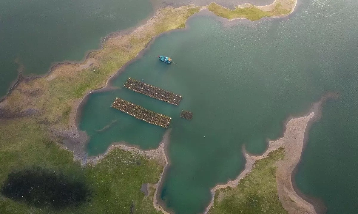 Photo exhibition portrays life along Thi Nai Lagoon heritage