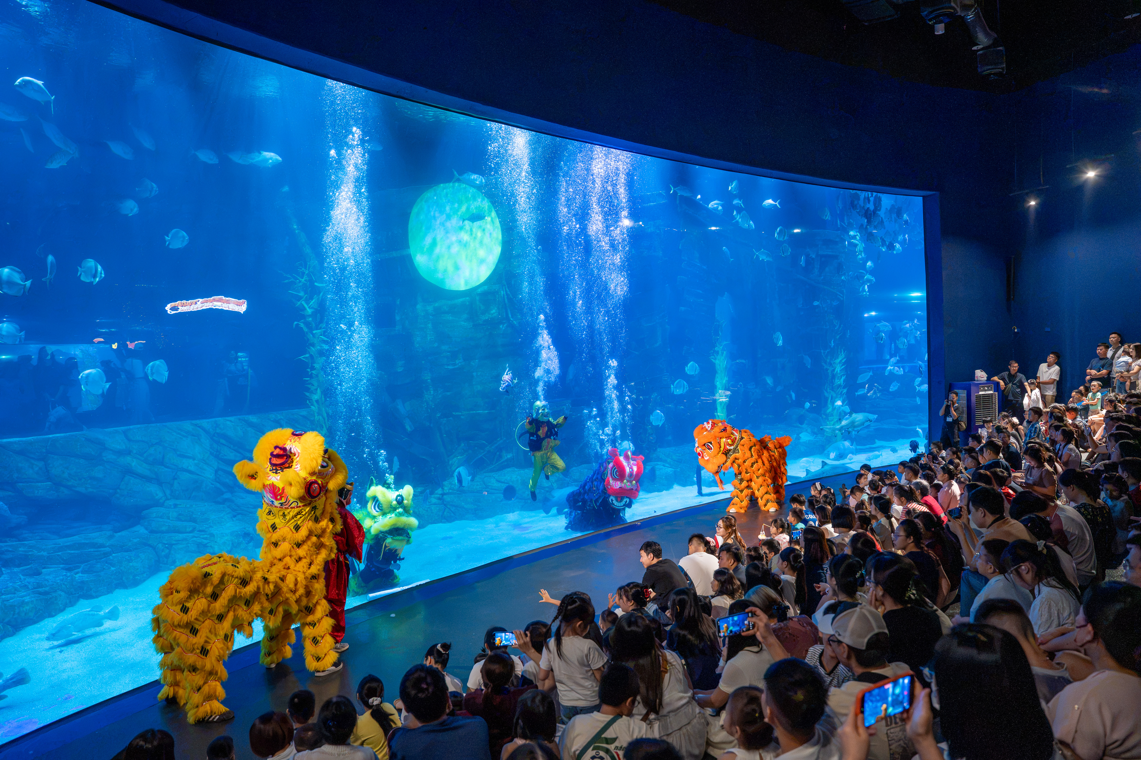 Crowds flock to watch underwater lion dance in Hanoi