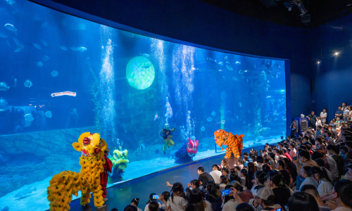 Crowds flock to watch underwater lion dance in Hanoi
