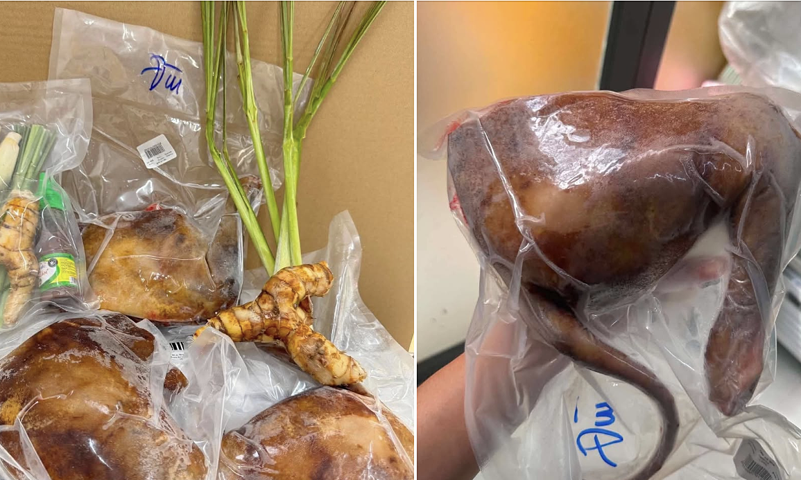 Singapore verifies Vietnamese posts advertising dog meat