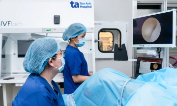 Is treatment for endometritis necessary before embryo transfer?
