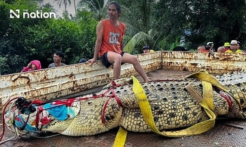 Crocodiles escape amidst major floods in Thailand