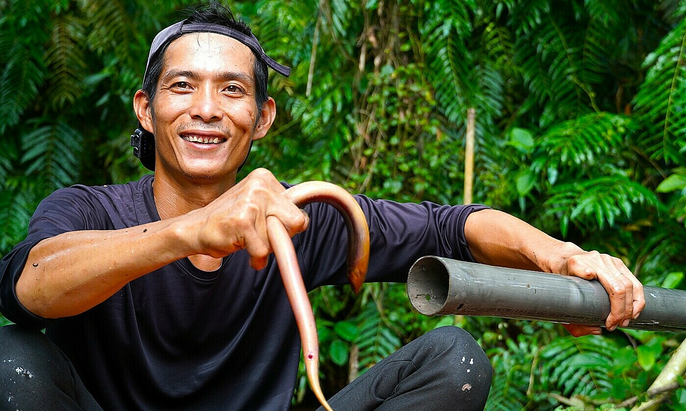 Setting eel traps in U Minh Ha forest