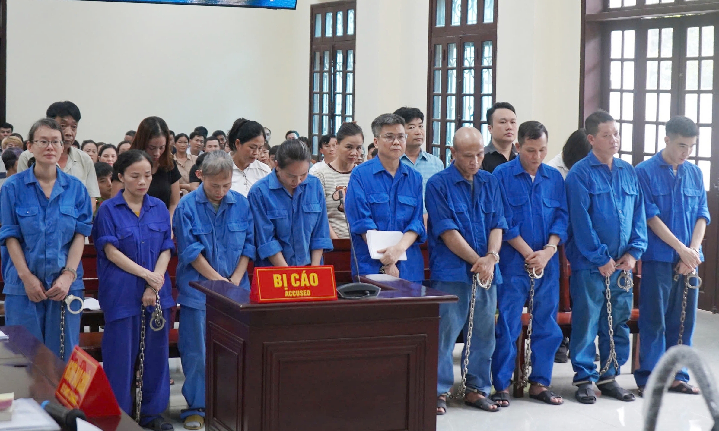 Former general director of Ha Long Canned Food receives 19-year sentence in 197-ton diseased pork case