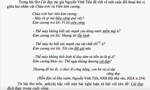 Nguyen Vinh Tien's poem 'The Beauty' sparks debate
