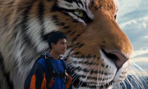 Tiger: courage emerges from small steps