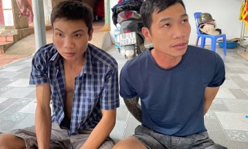 'Dog thieves' repeatedly hack residents when discovered