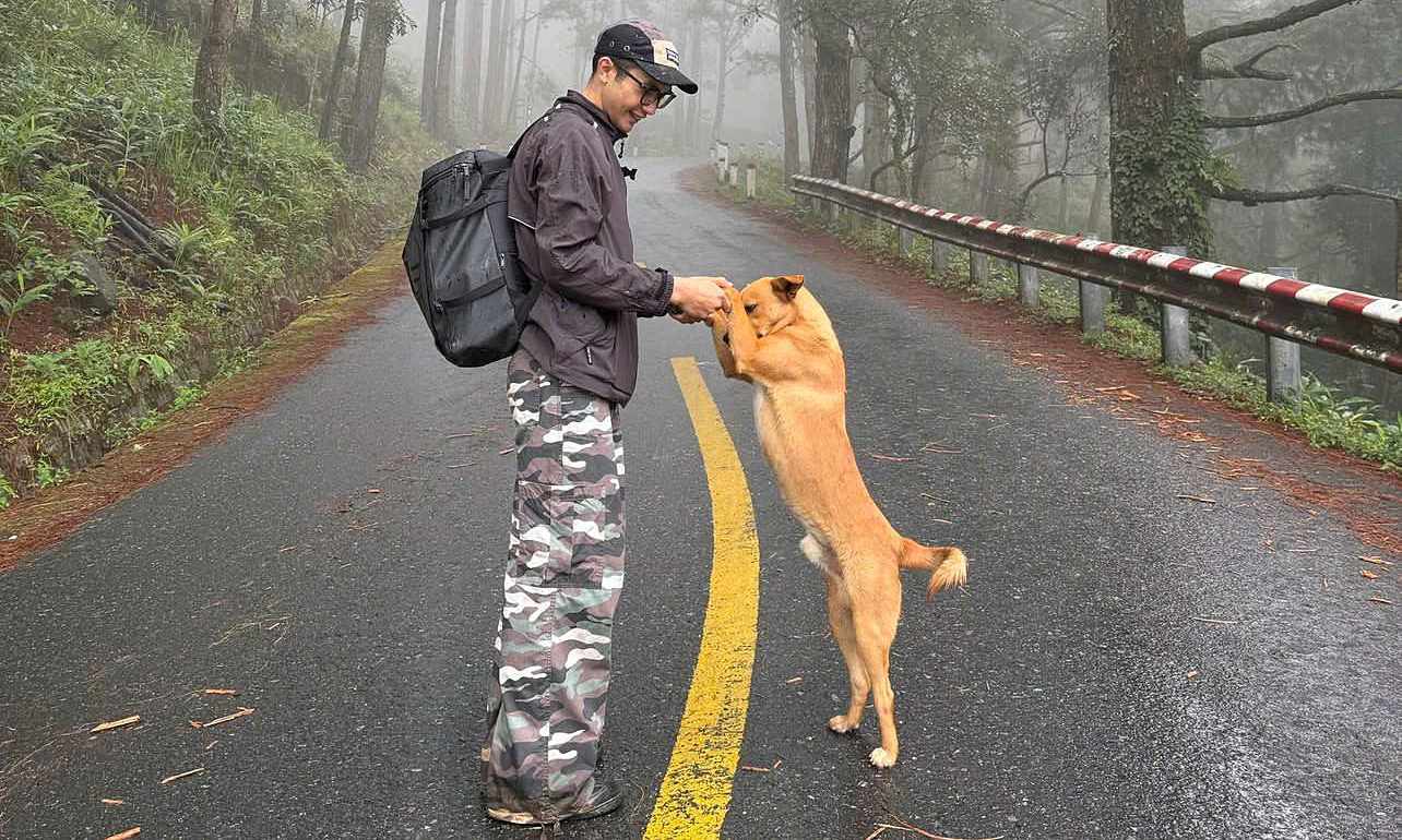 A dog guides trekkers in Da Lat