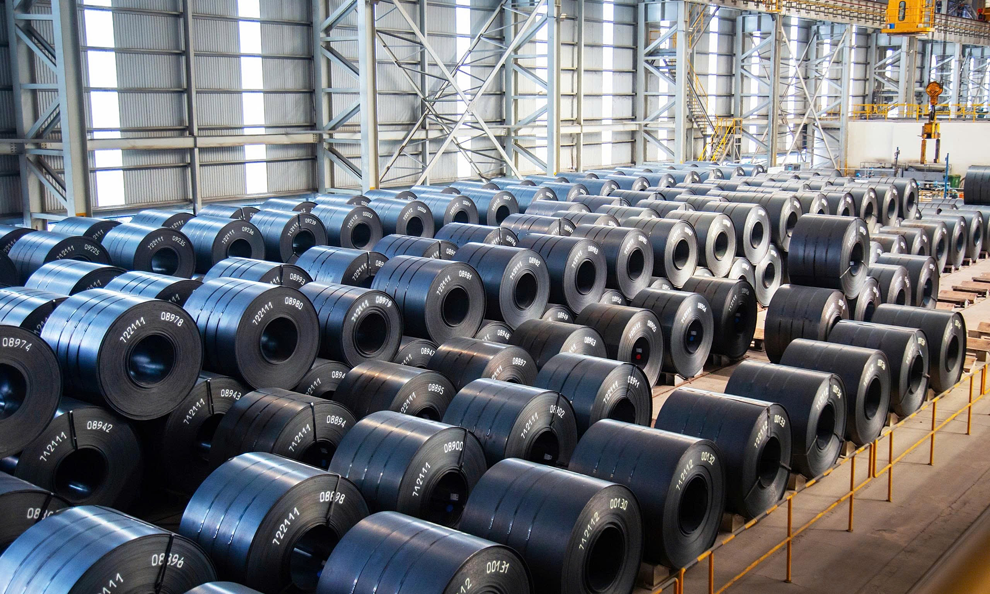 Son of Tran Dinh Long intends to buy another 50 million Hoa Phat shares