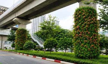 Hanoi pilots greening bridge pillars, underpasses