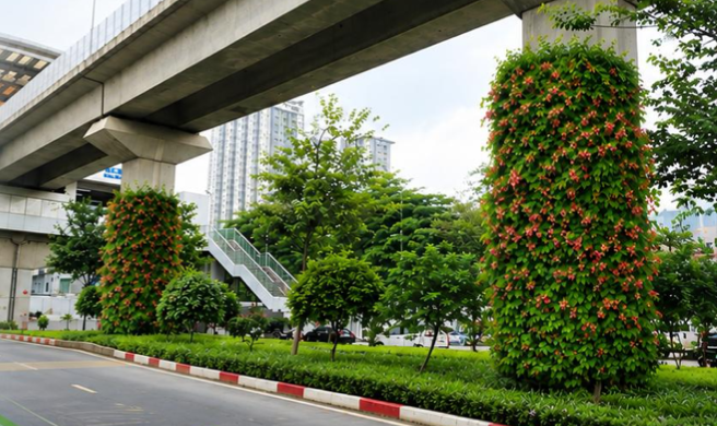 Hanoi pilots greening bridge pillars, underpasses